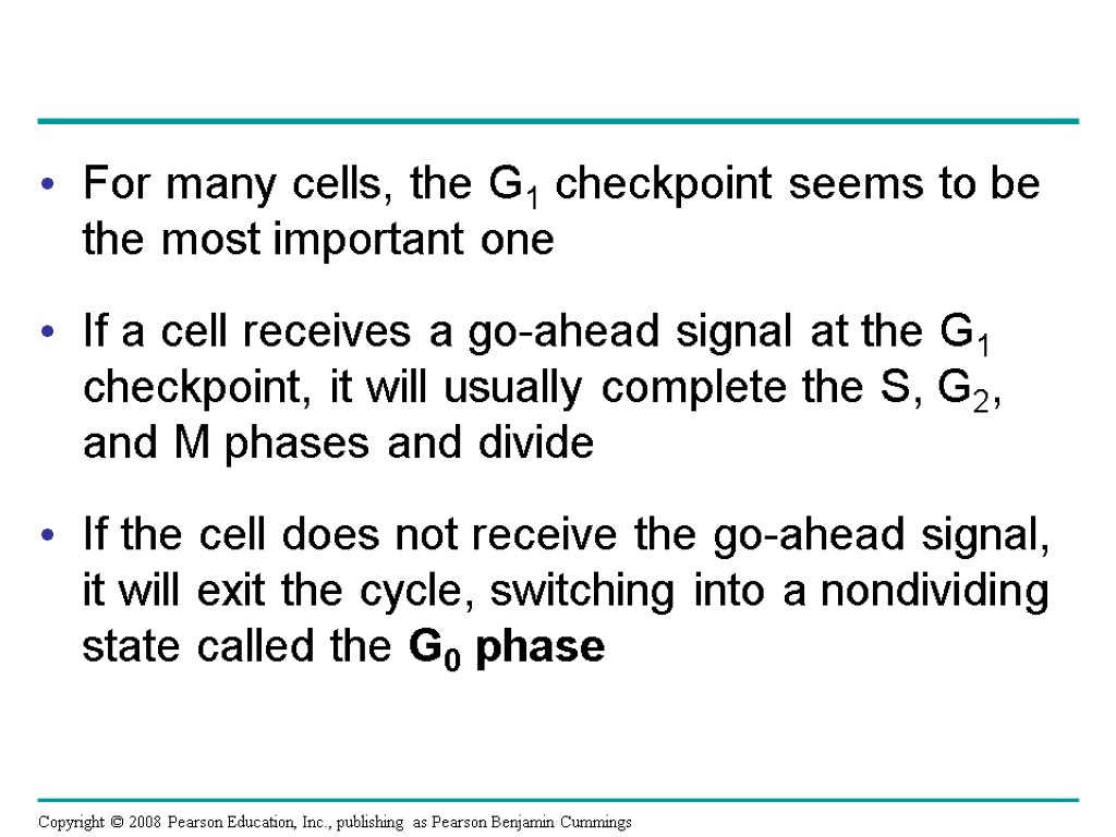 For many cells, the G1 checkpoint seems to be the most important one If